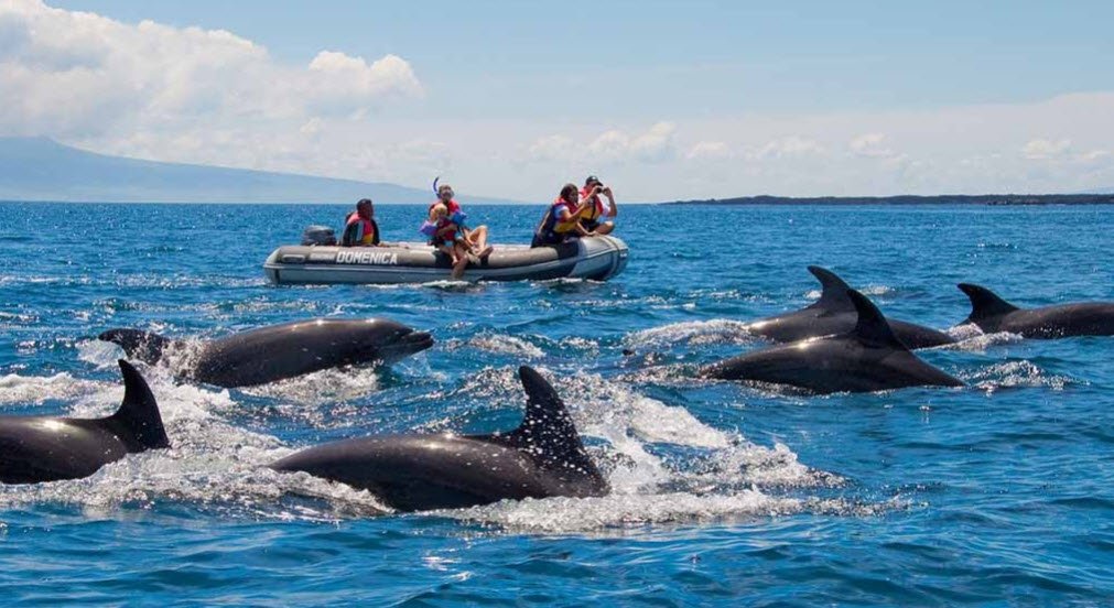 Darwin Island, Ecuador